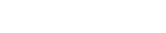 Бизнес + нью.png