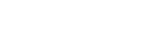 Лидер 40.png